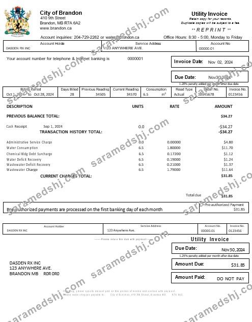 USA BRANDON MISSISSIPPI business utility bill Word and PDF template